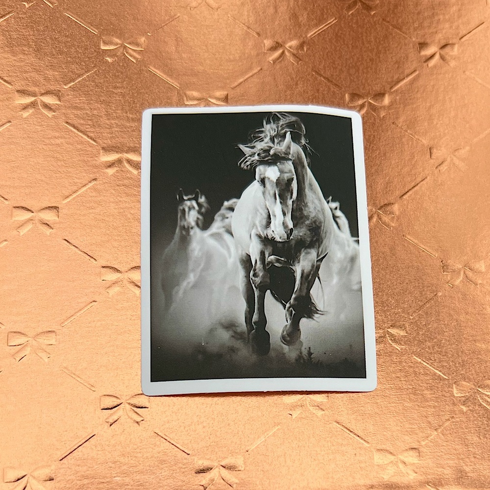 Horses Running Equestrian Horse Girl Horse Boy Cowboy CowGirl Single Sticker